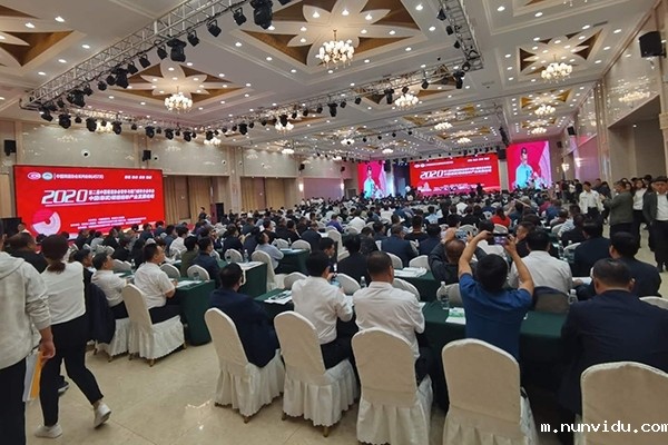 会议现场 会议现场