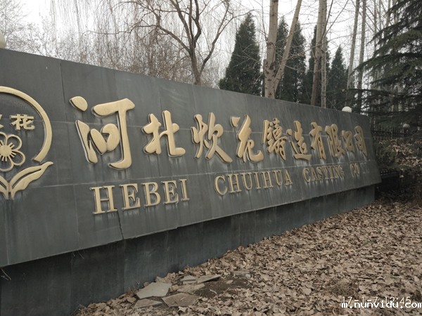 雷竞技竞彩平台仪器CX-9800立式直读光谱分析仪助河北炊花优质产品走向世界