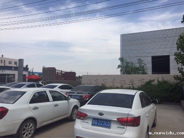 山东华星铝业有限公司是雷竞技竞彩平台仪器CX-9800型直读光谱仪客户之一。