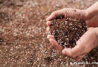 土壤环境质量监测点