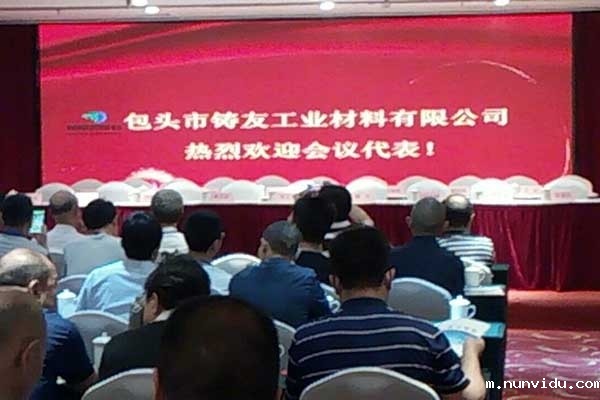 包头市铸铁合金专有技术培训研讨会