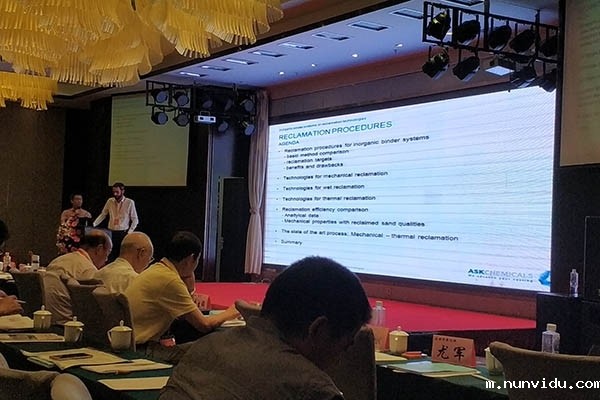 国际专家做专题报告