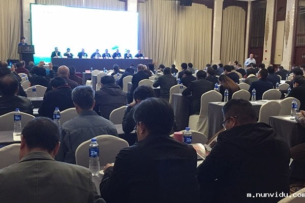 与会代表认真聆听报告