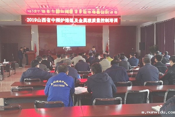 山西太古举办中频炉熔炼及金属液质量控制培训
