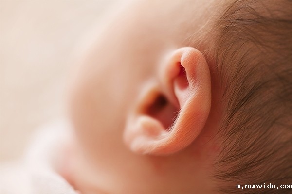  X射线光谱分析玩具的安全性