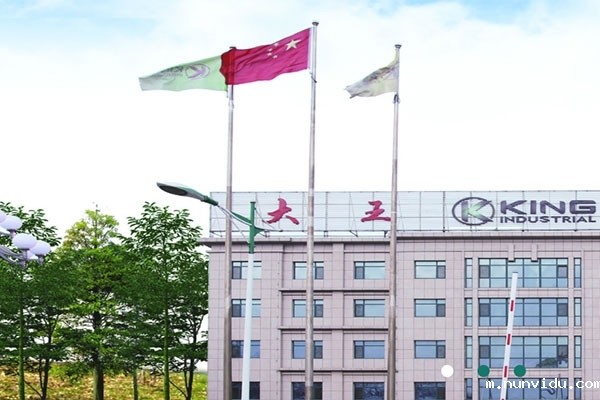 雷竞技竞彩平台仪器合作大王实业股份有限公司