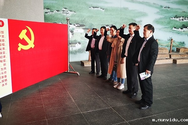 党旗前庄重宣誓