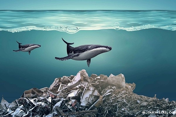 固废垃圾的环境影响