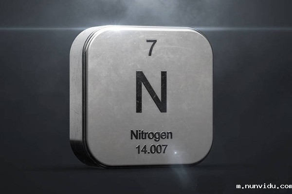 氮元素