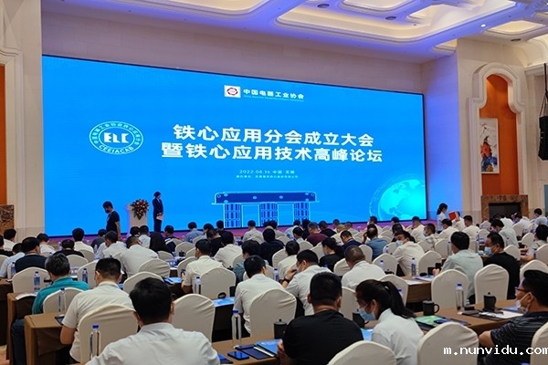 中电铁心会议开幕