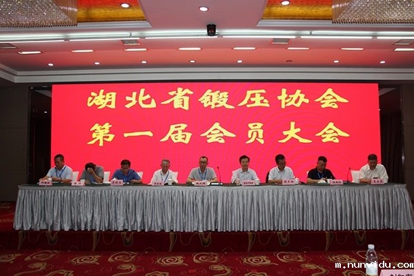 湖北省锻压协会第一届会员大会开幕