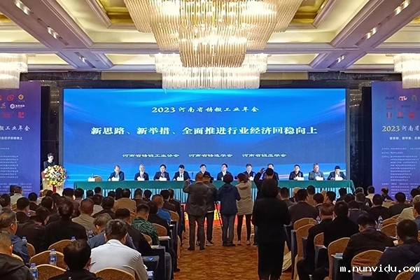 河南铸造行业年会开幕