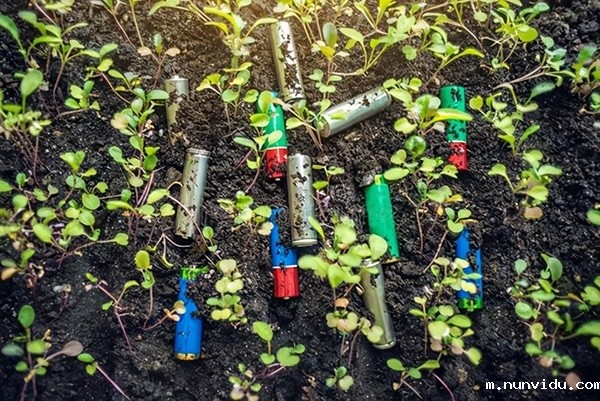 ICP光谱分析仪在土壤检测中的应用