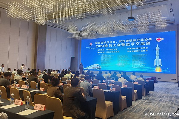 2024湖北铸锻年会开幕