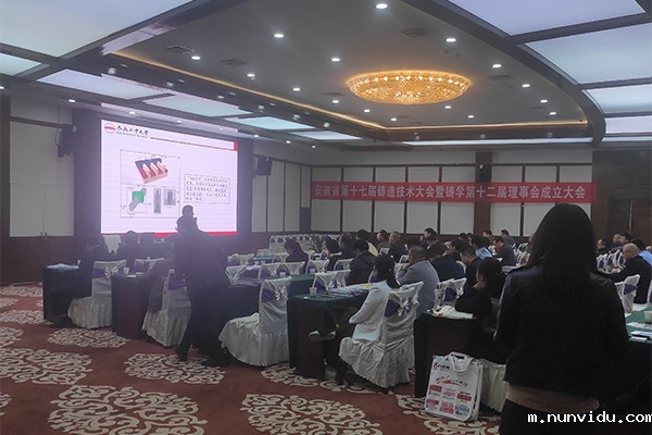 安徽省铸造会议开幕