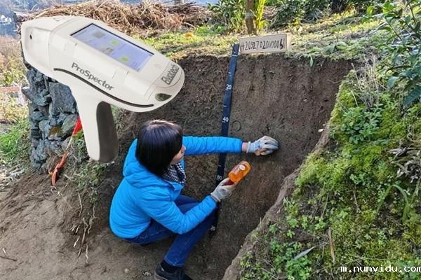 土壤检测分析 便携式光谱仪检测