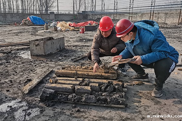 地质勘探过程中 碳硫分析仪的应用