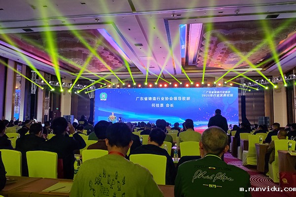 年会现场 聆听专家报告