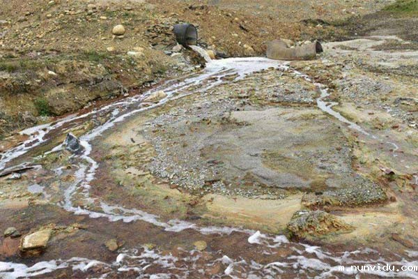 土壤重金属污染治理