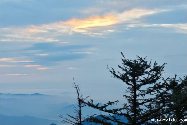 雷竞技竞彩平台仪器泰山之行