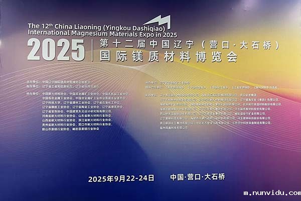 2025镁博会召开